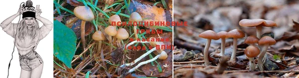 марки nbome Аркадак