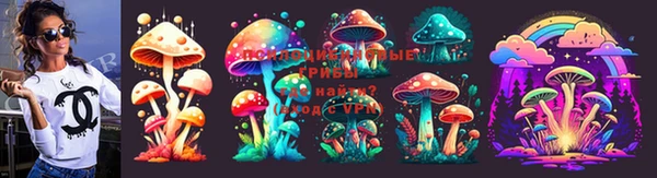 марки nbome Аркадак