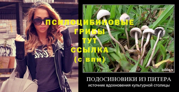 марки nbome Аркадак