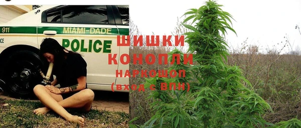 твердый Армянск