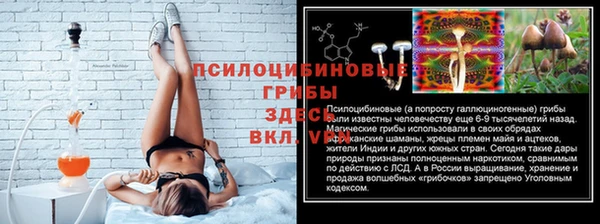 твердый Армянск