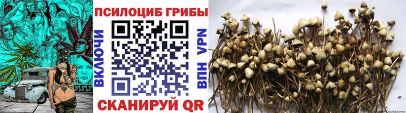 MEGA tor  Балашов  Галлюциногенные грибы ЛСД 